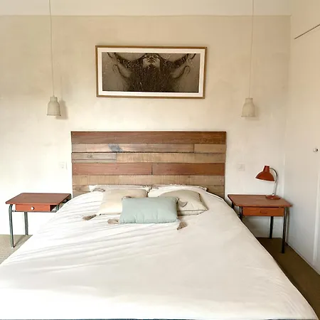 Grand Mas Provencal, 5 Chambres, Jardin, Piscine & Calme Absolu A 5 Min D'arles Fourques (Gard)